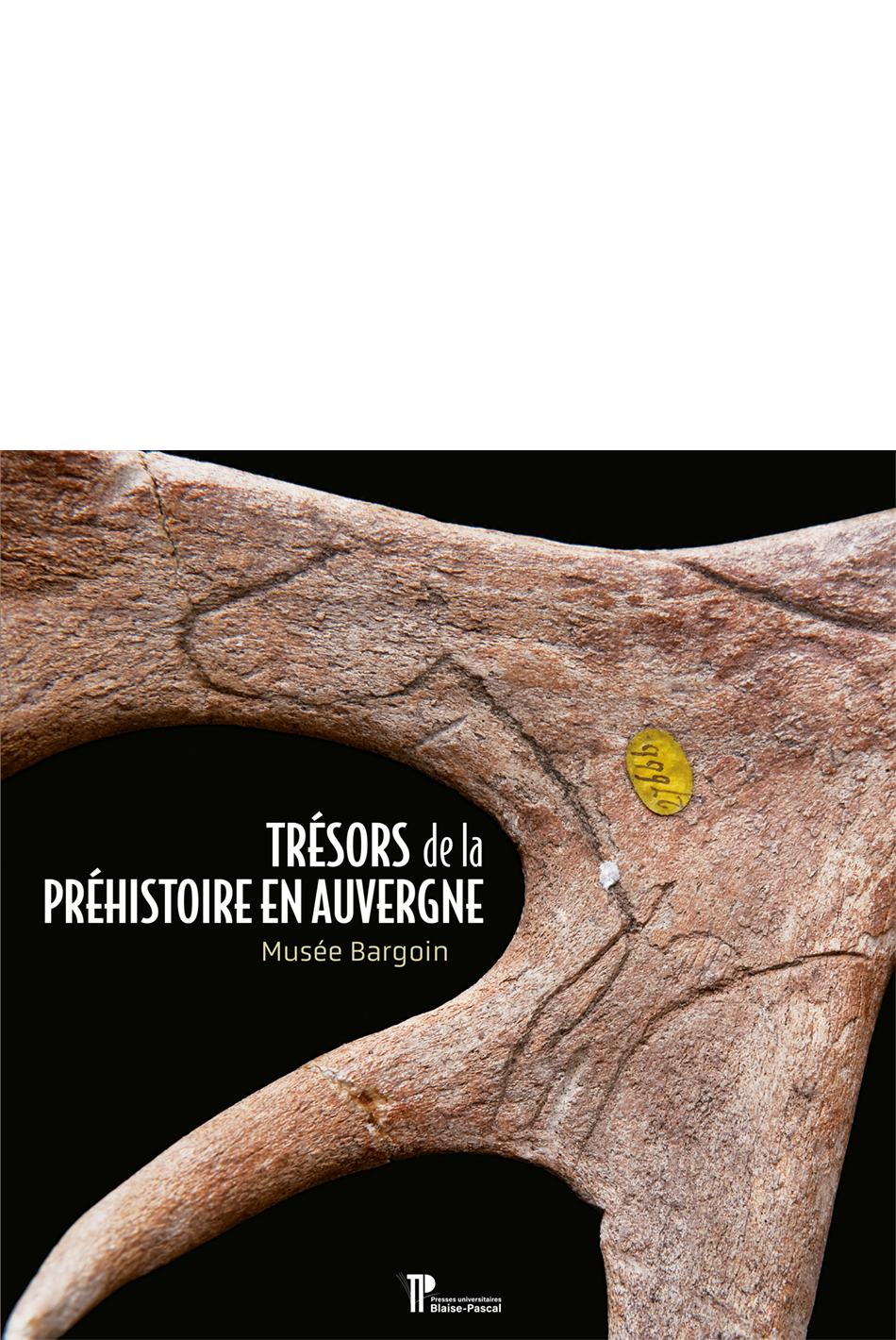Trésors de la Préhistoire en Auvergne