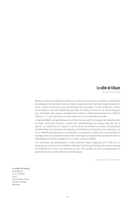 Trésors de la Préhistoire en Auvergne