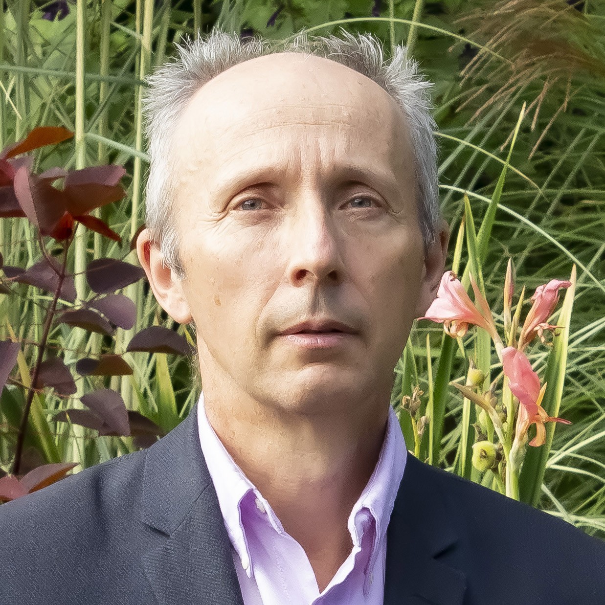 Dominique Vollet